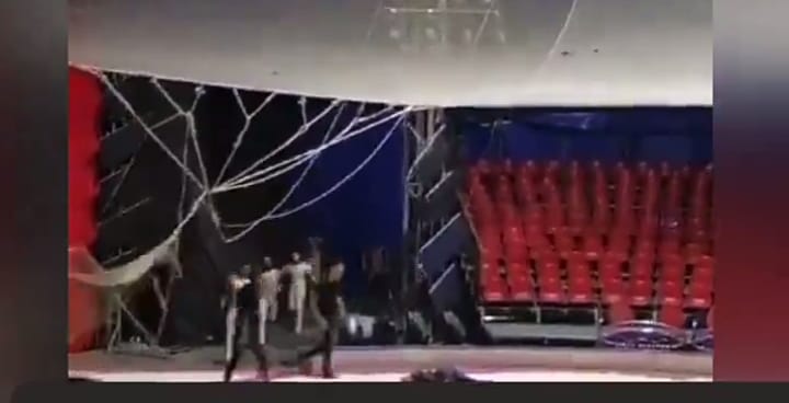 Viralizan video de accidente ocurrido en show de 'hombre bala' en circo de Antofagasta