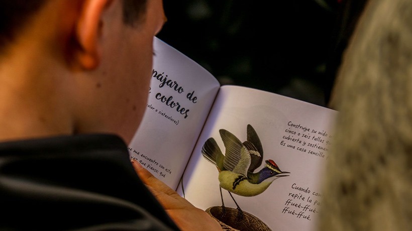 "La Noche de los libros": preparan especial celebración lectora durante el mes de abril en Valparaíso