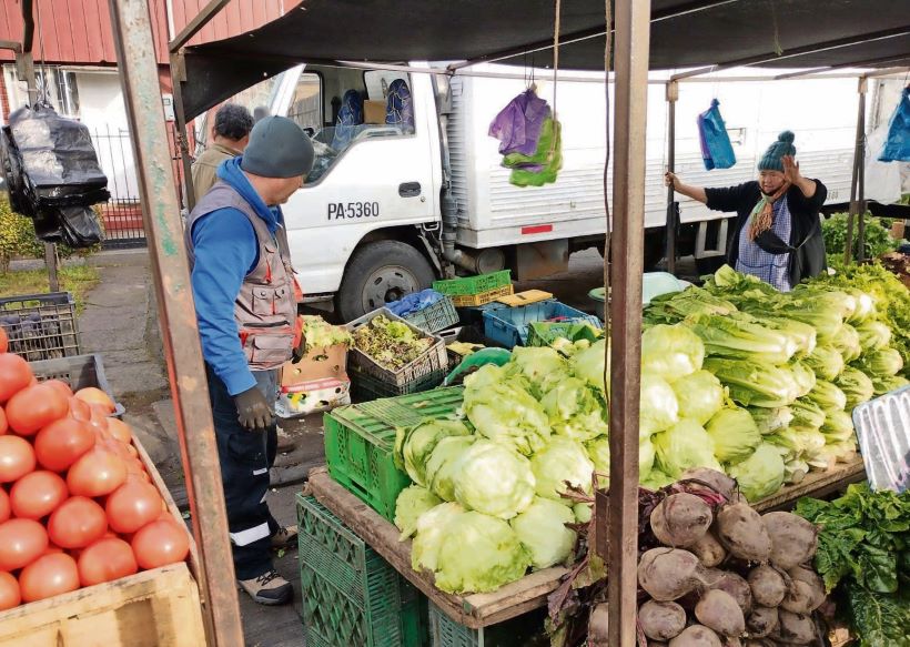 Beneficiará a 60 familias: Talcahuano obtiene fondo ambiental para el manejo de los residuos orgánicos y fomento del reciclaje