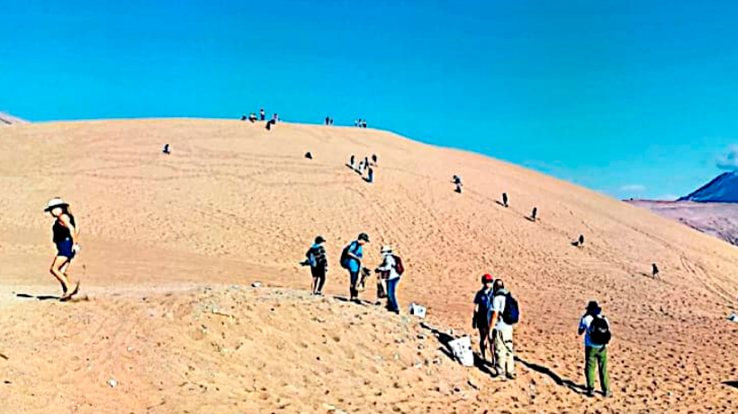 Cientos de voluntarios participaron en jornada de limpieza en el Cerro Dragón