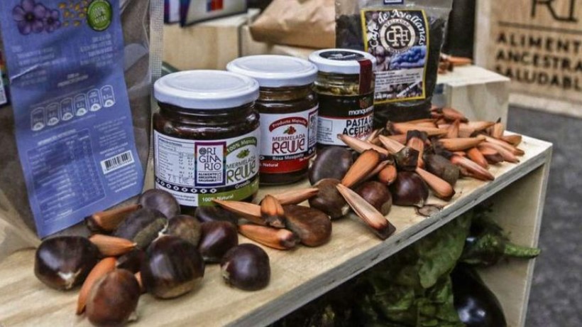 Región de Ñuble concentra el 90% de la producción nacional de castañas