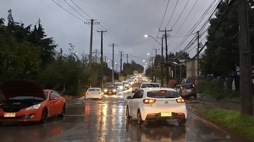 Los Ríos: Caída de árboles y más de 6 mil clientes sin electricidad fue parte de lo que dejó el sistema frontal