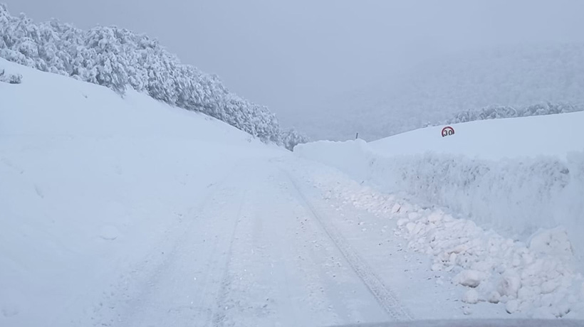 Continúa suspensión de tránsito en paso Cardenal Samoré y realizan labores de despeje en la ruta Continúa suspensión de tránsito en paso Cardenal Samoré y realizan labores de despeje en la ruta
