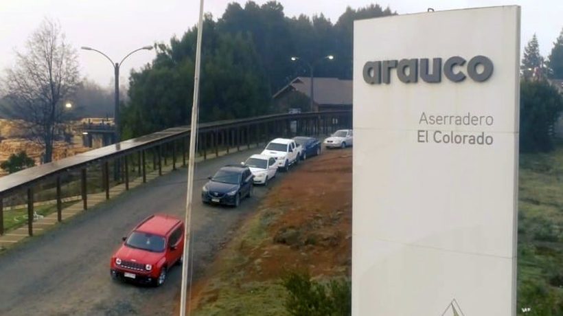 Empresa Arauco anuncia cierre de aserradero en Curanilahue: 78 trabajadores fueron desvinculados y sectores productivos reaccionan