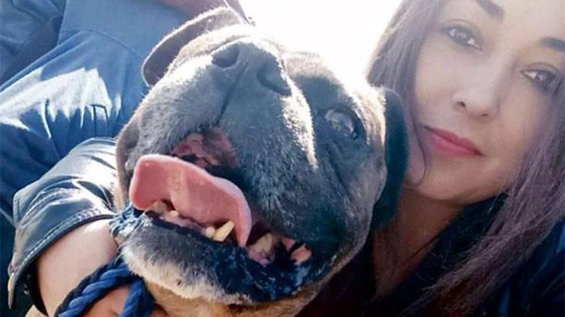 Rescatista de animales abandonados pide apoyo para seguir con su cruzada
