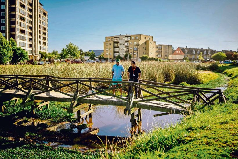 Ordenan a municipio de San Pedro de la Paz elaborar plan de resguardo para laguna Grande y humedal Bayona
