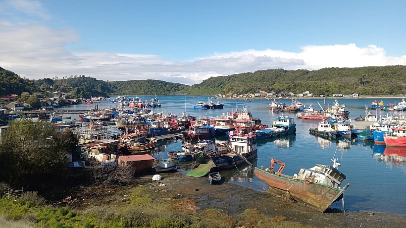 Lonkos rechazaron presunto cobro para desafectar áreas en solicitud de ECMPO en Puerto Montt
