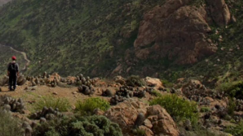 ONG de Taltal inicia campaña para declarar Parque Nacional en la comuna