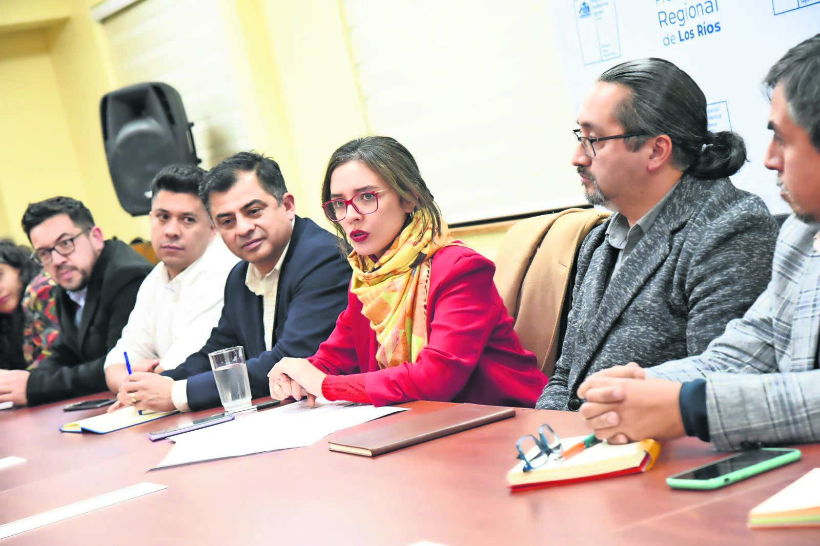 Ministra Camila Vallejo rendirá cuenta pública en comuna de Los Lagos