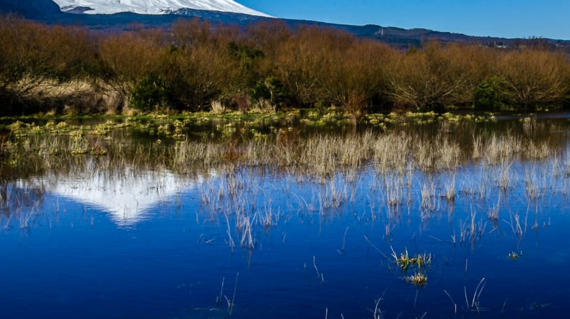 Declaración de humedal urbano en Lago Villarrica fue anulada Declaración de humedal urbano en Lago Villarrica fue anulada