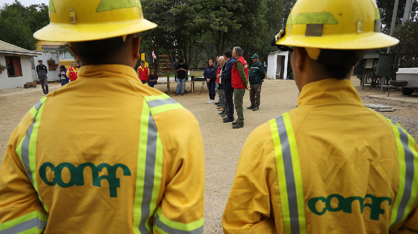 Directivo de Conaf Valparaíso recibió millonarias sumas de dinero por concepto de horas extras en los últimos 16 meses