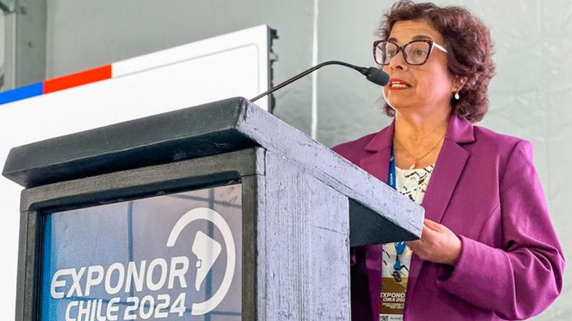 Ministra Williams anunció la creación del Instituto Tecnológico de Litio y Salares