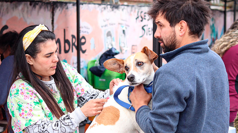 Concón anunció que tendrá nueva veterinaria móvil gratuita