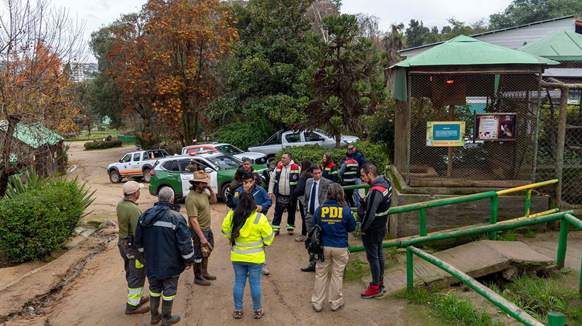 Tragedia en Quilpué: más de 20 animales fallecidos y 5 en recuperación deja ataque en el zoológico