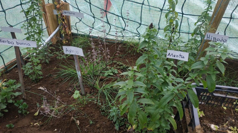 Quinchao: Destacan talleres de educación ambiental en la escuela "San Francisco" de Meulín