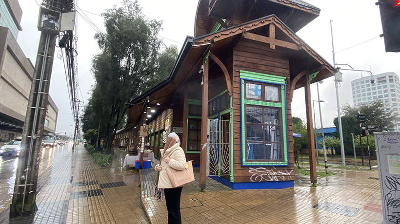 Locales cerrados y poca visibilidad: el deslucido estado del Pueblito Artesanal de Osorno