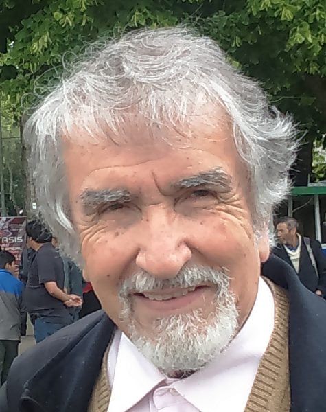 Nueva Imperial: Humberto Lagos Schuffeneger busca competir en el Premio Nacional de Literatura 2024