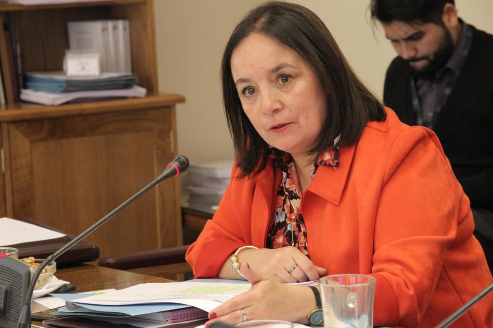 Presentan proyecto de ley de reparacion integral para víctimas del terrorismo en la macrozona sur