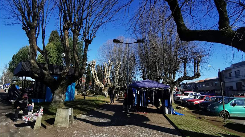 Por poda de árboles: hasta el viernes se mantendrá cerrada calle para peatones y vehículos en Pitrufquén Por poda de árboles: hasta el viernes se mantendrá cerrada calle para peatones y vehículos en Pitrufquén