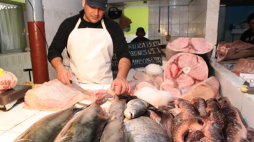 “Reineta y locos”: Estudio revela cuáles son los pescados y mariscos más consumidos en Antofagasta