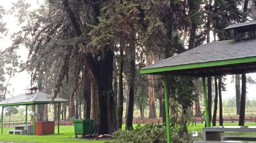 Lautaro: anuncian cierre del Parque Isabel Riquelme producto a fuertes vientos
