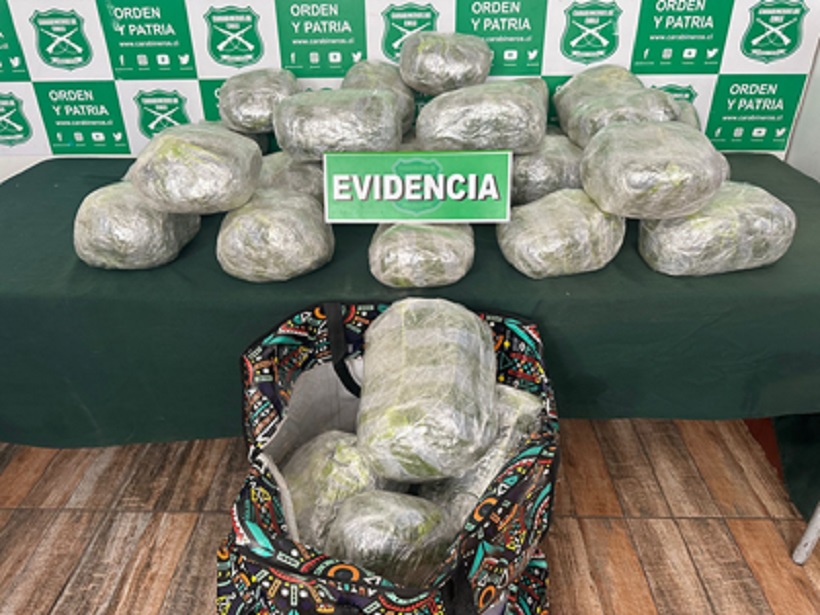 Seis narcotraficantes en prisión preventiva en Antofagasta: escondieron droga en el desierto y tenían cultivo indoor Seis narcotraficantes en prisión preventiva en Antofagasta: escondieron droga en el desierto y tenían cultivo indoor