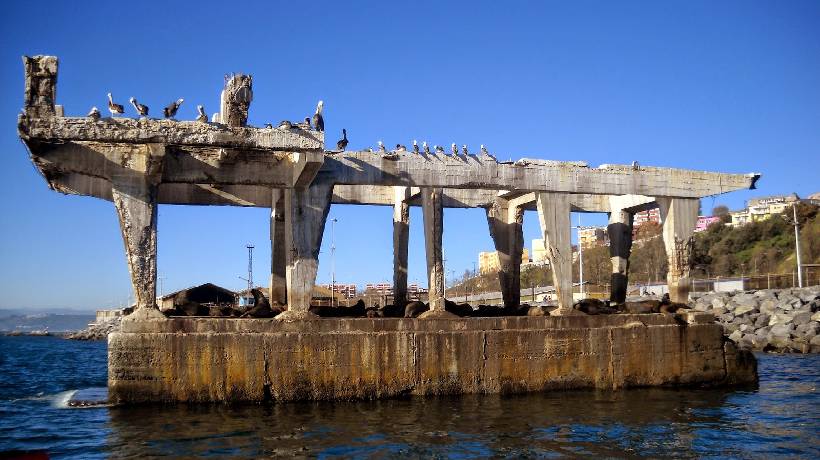 Revelan detalles de desconocido proyecto vial que iba a unir Valparaíso y Viña del Mar por sobre el mar Revelan detalles de desconocido proyecto vial que iba a unir Valparaíso y Viña del Mar por sobre el mar