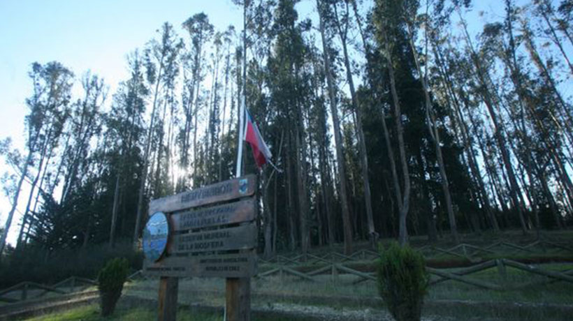 Hasta septiembre: Conaf cerró la reserva nacional Lago Peñuelas por sistema frontal