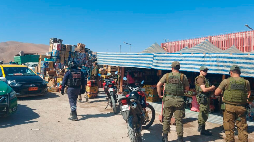 Decomisan más de 330 kilos de productos agrícolas en la comuna de Alto Hospicio