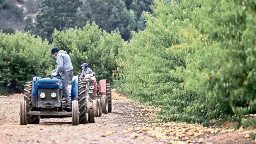 Anuncian reactivación de programa que facilita compra de terrenos agrícolas en Ñuble Anuncian reactivación de programa que facilita compra de terrenos agrícolas en Ñuble