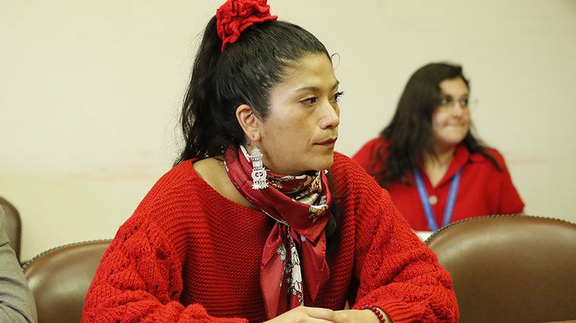 Diputada Ericka Ñanco ofició a la SEC por cortes de energía en La Araucanía Diputada Ericka Ñanco ofició a la SEC por cortes de energía en La Araucanía