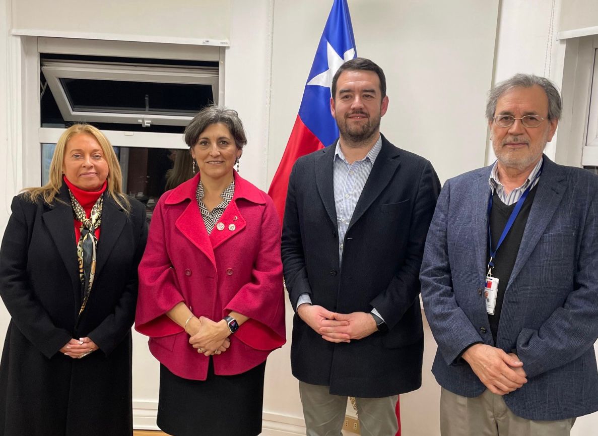 Gobernador se reunió con la ministra de salud para avanzar en un centro oncológico integral en La Araucanía
