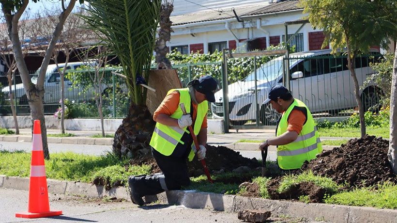 Municipalidad inició esperada instalación de luminarias en avenida de Quillota