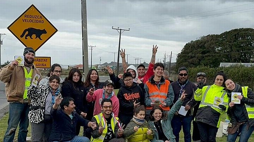 Con minga instalaron letreros para evitar atropellos de fauna silvestre en rutas de Chiloé