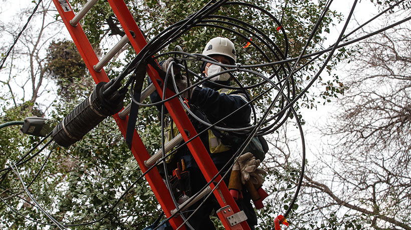 Corte de luz: Codiner anunció acciones legales contra municipios y forestales por caída de árboles