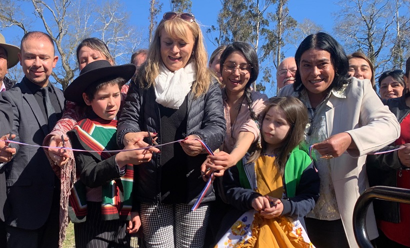 182 millones de pesos para conservación de dos escuelas en Pitrufquén y PLC