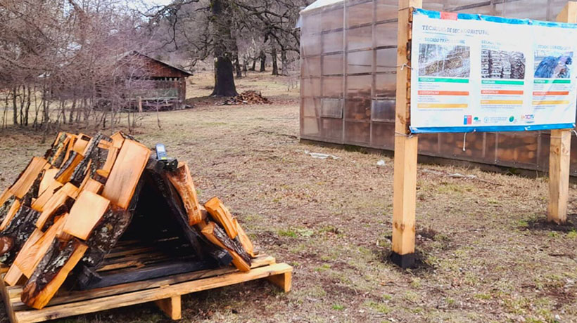 La Araucanía: Conaf pone a disposición su unidad demostrativa de secado de leña