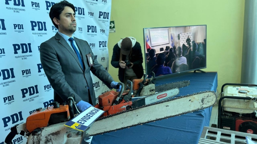 [FOTOS] Descubren explotación ilegal de bosque nativo en predio fiscal del sector Quillaipe de Puerto Montt