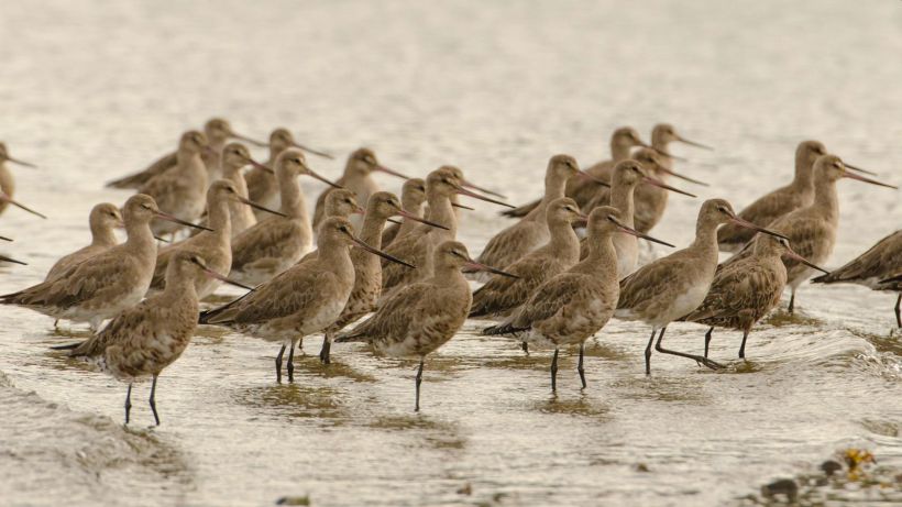Avanza desarrollo de plataforma para la planificación territorial y la adaptación climática en Los Lagos