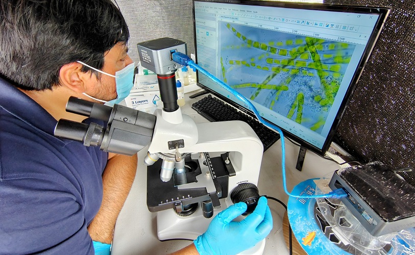 Antofagastinos lideran startup basada en captura de CO2 con microalgas e inteligencia artificial