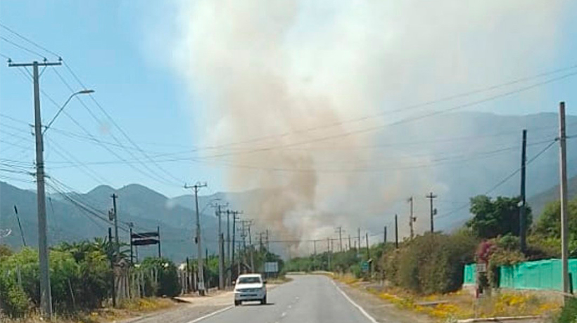 Extinguido se encuentra incendio forestal en Olmué