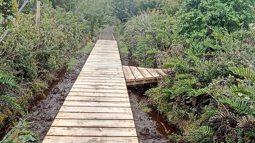 Modernizaron senderos en el Parque Nacional Chiloé