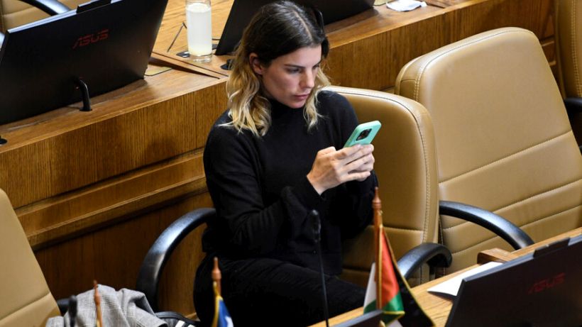 Gobierno reiteró críticas a diputada Orsini y dijo que hay "un criterio de sentido común"