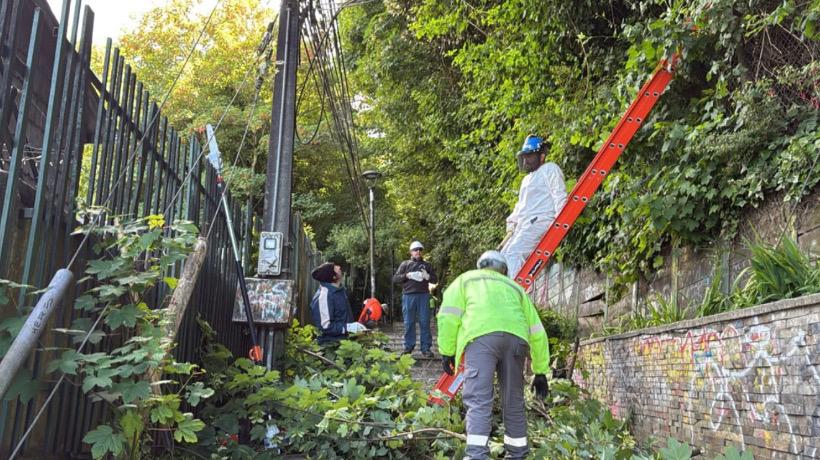 Municipio de Puerto Montt realiza limpieza y despeje en escalera de calle Rancagua