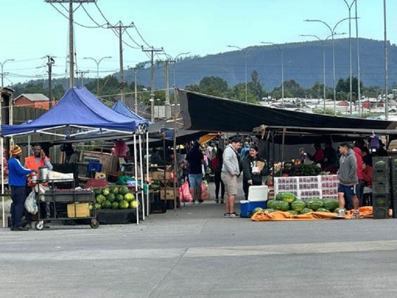 Valdivia: Desde el 15 de enero la Feria Libre de los días miércoles estará ubicada en el sector Guacamayo