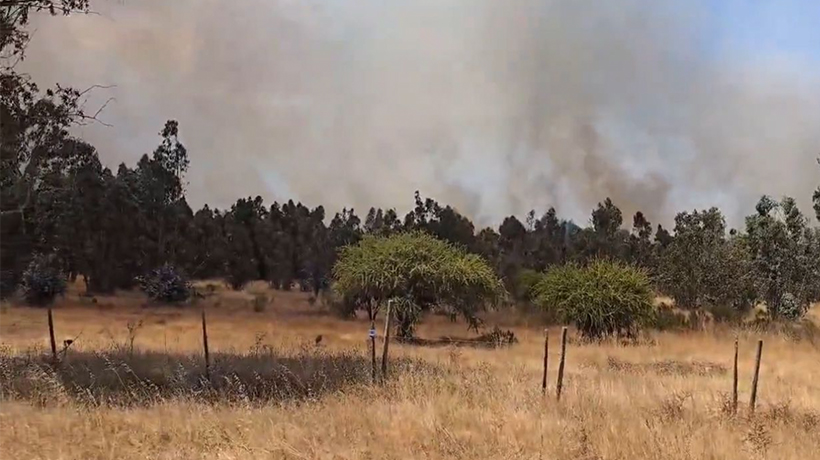Alerta amarilla es declarada para San Antonio debido a incendio forestal