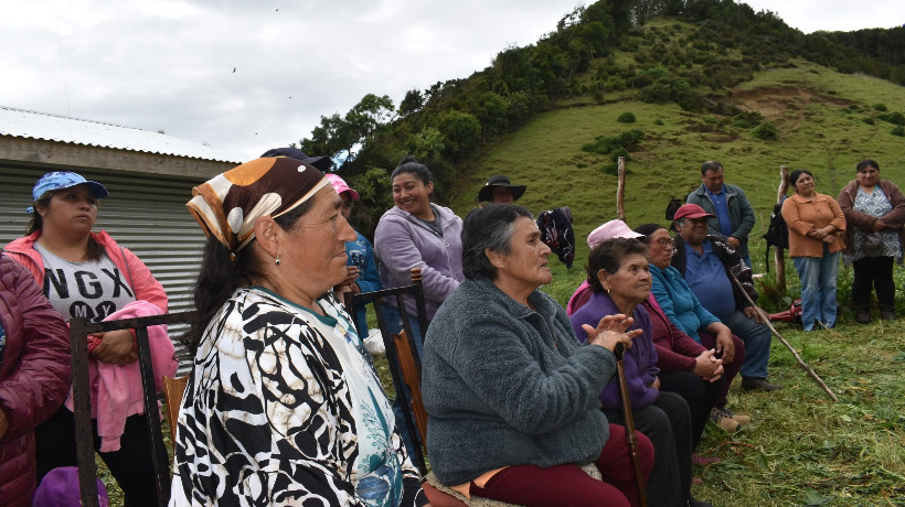 Finaliza exitosamente proyecto de reforestación en Quinchao