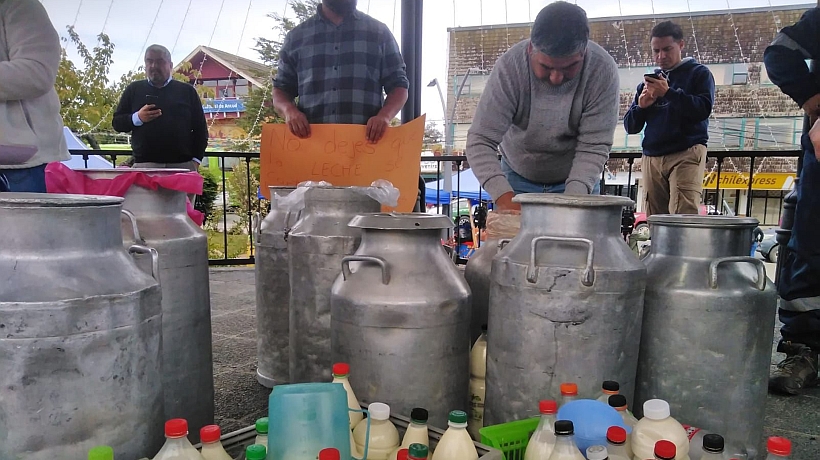 Productores de leche en Ancud regalan 800 litros a Chilolac por deuda millonaria