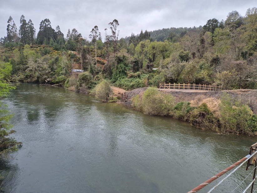 Dirección de Aguas del MOP multa a empresa agrícola por construir obra sin autorización en cauce del río Futa en Valdivia