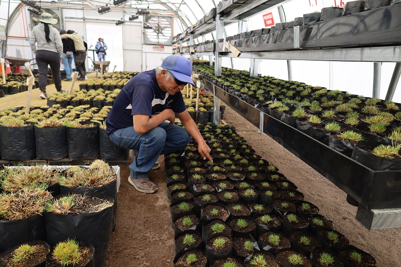 Plan de manejo ambiental de Minera El Abra impulsa crecimiento de flora y fauna en el Salar de Ascotán
